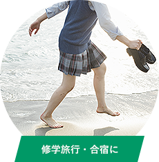 修学旅行・合宿に